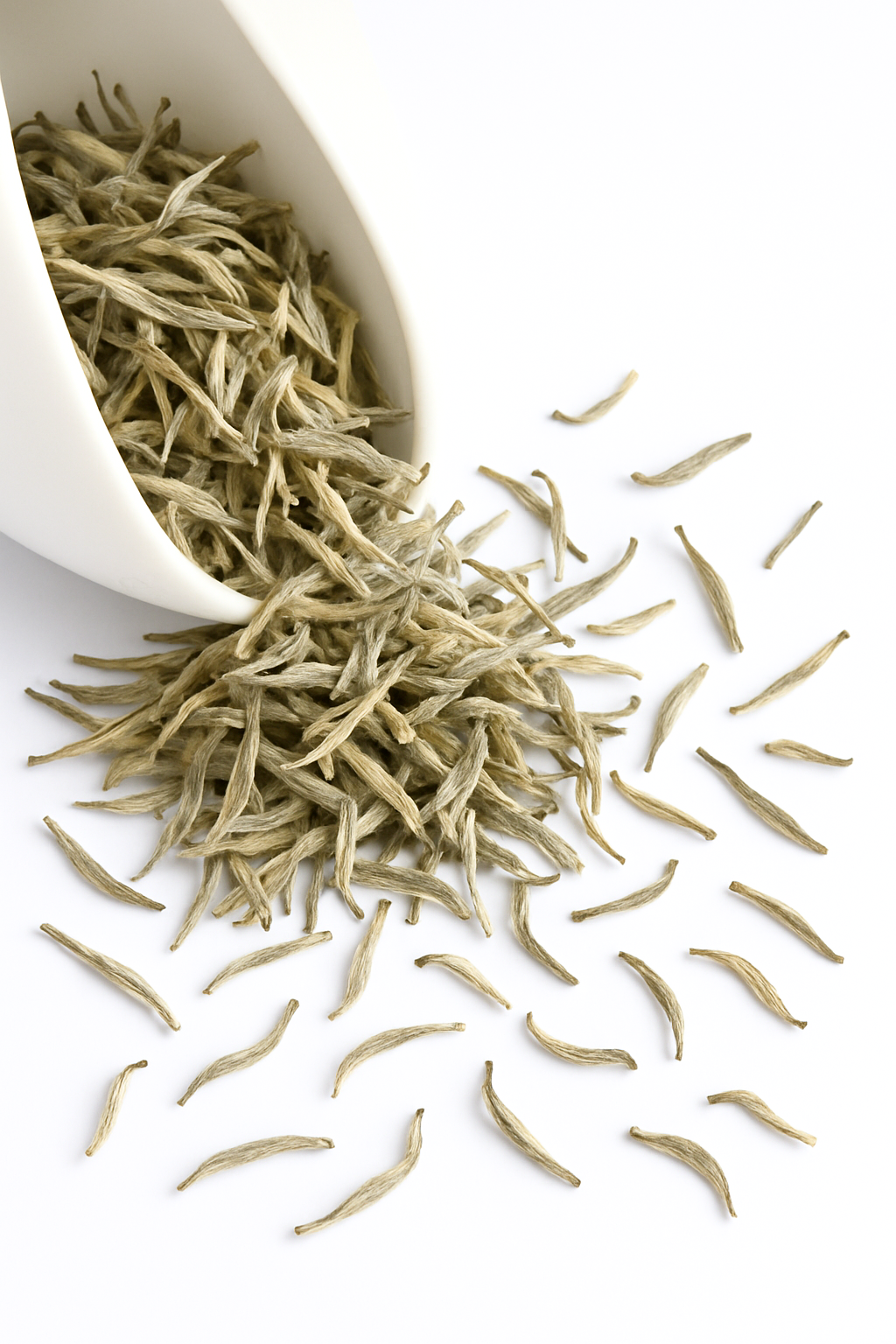 Silver Needle - Fujian White Tea