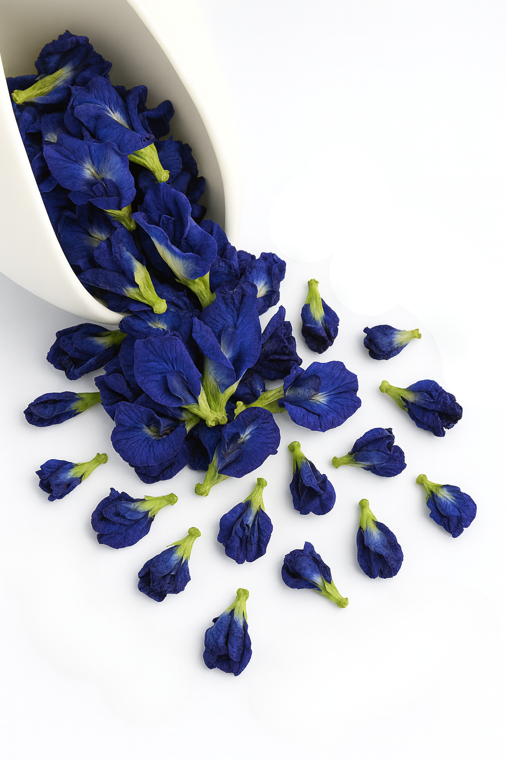 Blue Butterfly Pea | Color-Changing Blue Tea